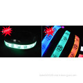 LED pet collar